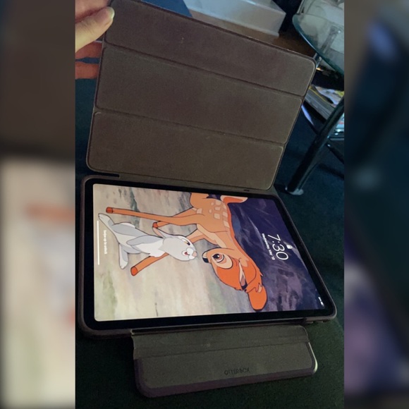 Otter box: IPad Pro 2nd gen 11” + 20w USB-C Power adapter - Picture 9 of 11